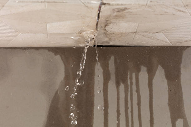 Professional Commercial Water Damage Restoration technician working in Petersburg, KY